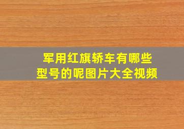 军用红旗轿车有哪些型号的呢图片大全视频