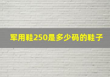 军用鞋250是多少码的鞋子