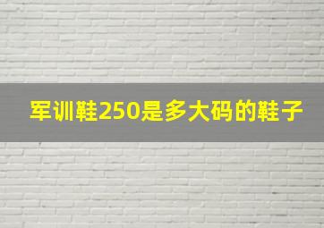 军训鞋250是多大码的鞋子