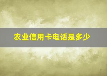 农业信用卡电话是多少