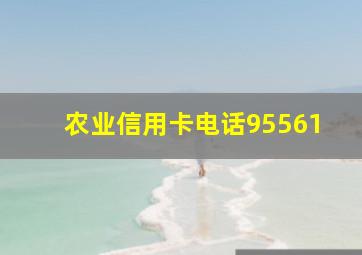 农业信用卡电话95561