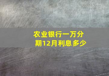 农业银行一万分期12月利息多少