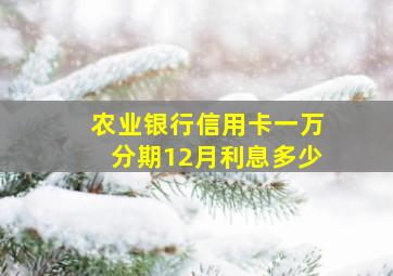 农业银行信用卡一万分期12月利息多少