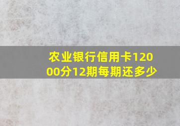 农业银行信用卡12000分12期每期还多少