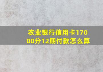 农业银行信用卡17000分12期付款怎么算