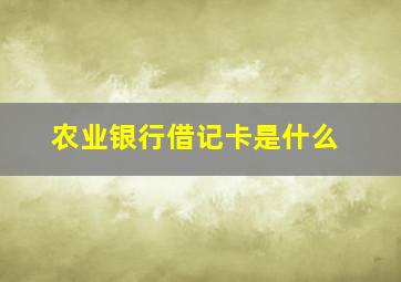 农业银行借记卡是什么