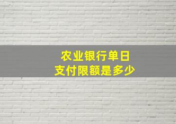 农业银行单日支付限额是多少