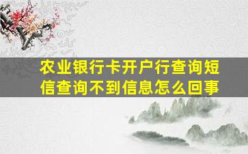 农业银行卡开户行查询短信查询不到信息怎么回事