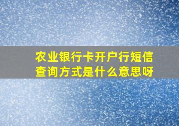 农业银行卡开户行短信查询方式是什么意思呀