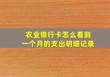 农业银行卡怎么看到一个月的支出明细记录