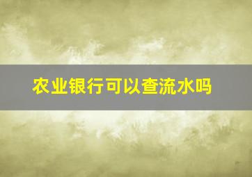 农业银行可以查流水吗