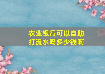 农业银行可以自助打流水吗多少钱啊