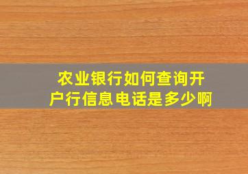 农业银行如何查询开户行信息电话是多少啊