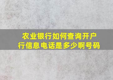 农业银行如何查询开户行信息电话是多少啊号码