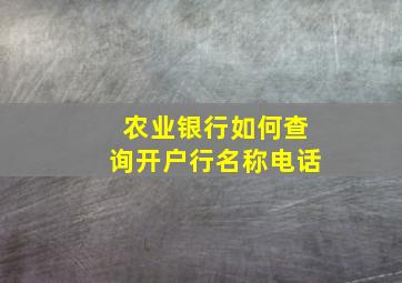 农业银行如何查询开户行名称电话