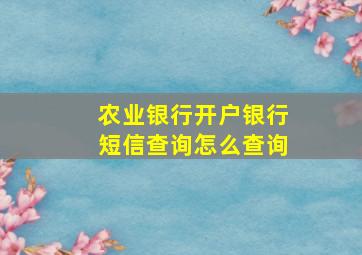 农业银行开户银行短信查询怎么查询