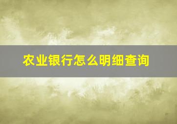 农业银行怎么明细查询