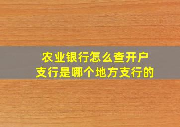 农业银行怎么查开户支行是哪个地方支行的