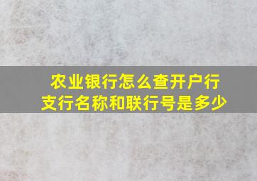 农业银行怎么查开户行支行名称和联行号是多少