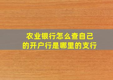 农业银行怎么查自己的开户行是哪里的支行