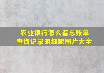 农业银行怎么看总账单查询记录明细呢图片大全