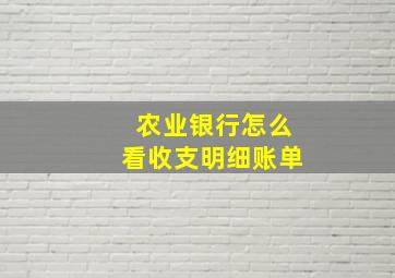 农业银行怎么看收支明细账单