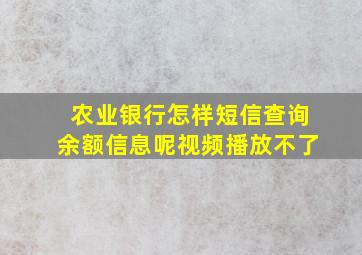 农业银行怎样短信查询余额信息呢视频播放不了