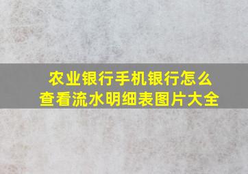 农业银行手机银行怎么查看流水明细表图片大全