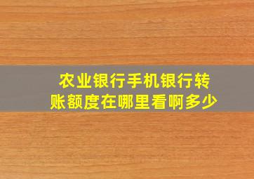 农业银行手机银行转账额度在哪里看啊多少