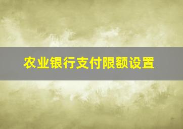 农业银行支付限额设置