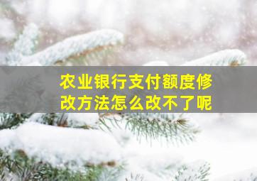 农业银行支付额度修改方法怎么改不了呢