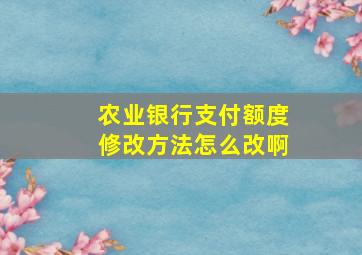 农业银行支付额度修改方法怎么改啊