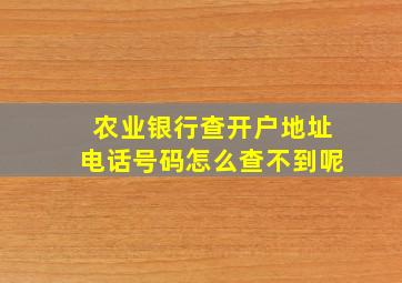 农业银行查开户地址电话号码怎么查不到呢