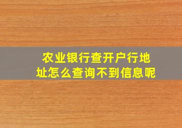 农业银行查开户行地址怎么查询不到信息呢