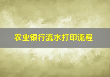 农业银行流水打印流程