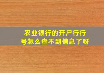 农业银行的开户行行号怎么查不到信息了呀