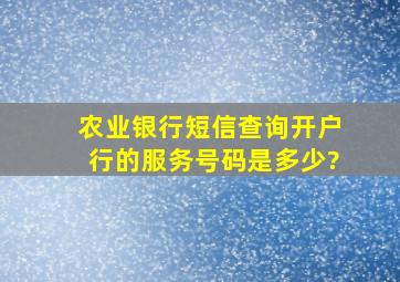 农业银行短信查询开户行的服务号码是多少?