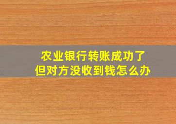 农业银行转账成功了但对方没收到钱怎么办