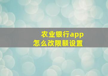 农业银行app怎么改限额设置