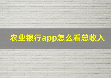 农业银行app怎么看总收入