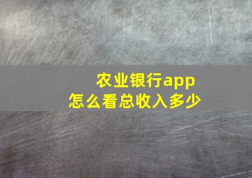 农业银行app怎么看总收入多少