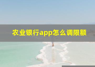 农业银行app怎么调限额