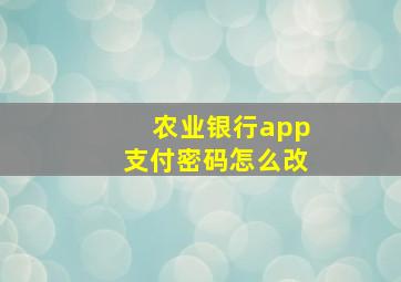 农业银行app支付密码怎么改