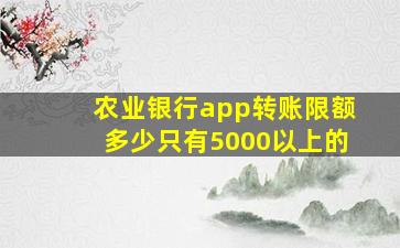 农业银行app转账限额多少只有5000以上的