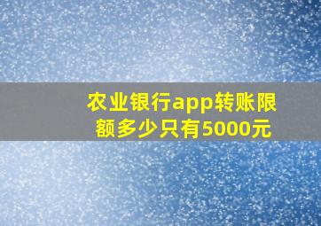 农业银行app转账限额多少只有5000元