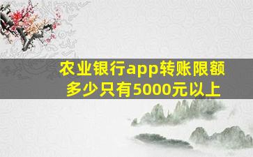 农业银行app转账限额多少只有5000元以上