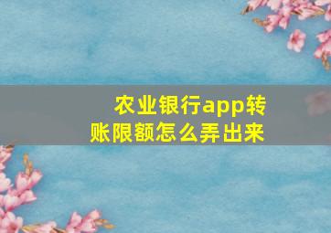 农业银行app转账限额怎么弄出来