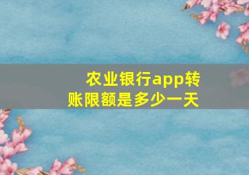 农业银行app转账限额是多少一天