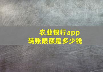 农业银行app转账限额是多少钱