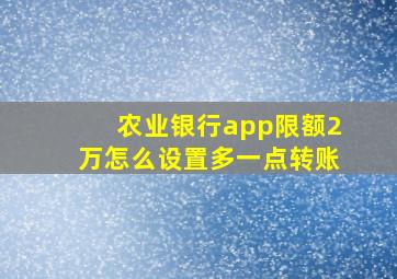 农业银行app限额2万怎么设置多一点转账